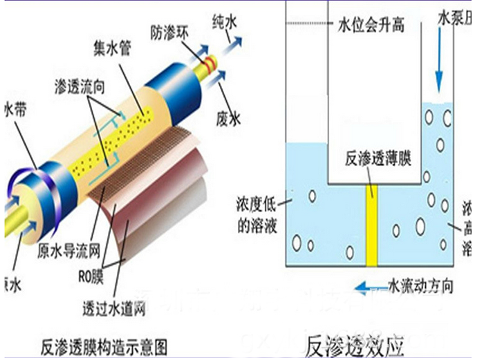 反滲透膜剖切原理